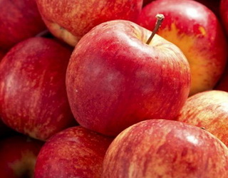 Які сорти яблунь цікаві для експорта до Південно-Східної Азії